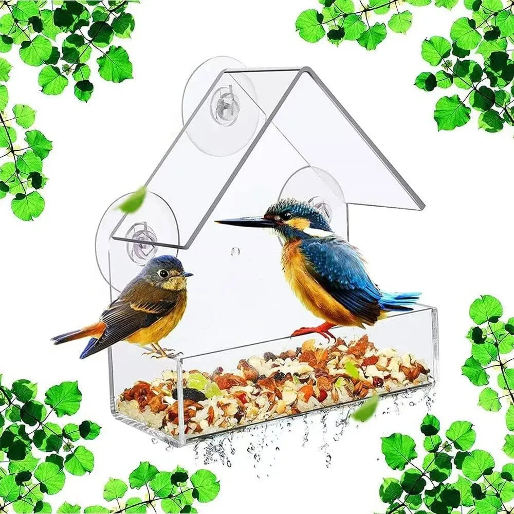 Halla - Transparent Window Bird House