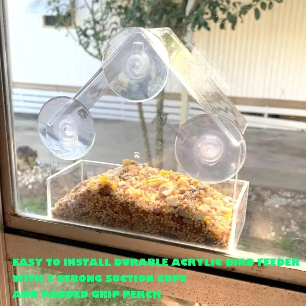 Halla - Transparent Window Bird House