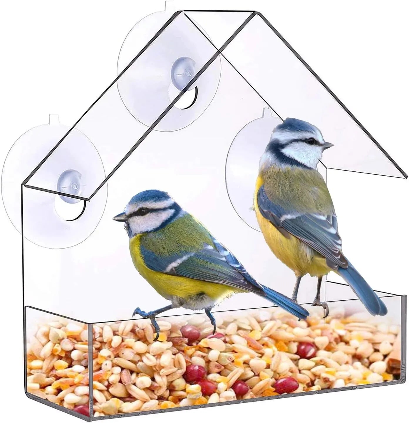 Halla - Transparent Window Bird House